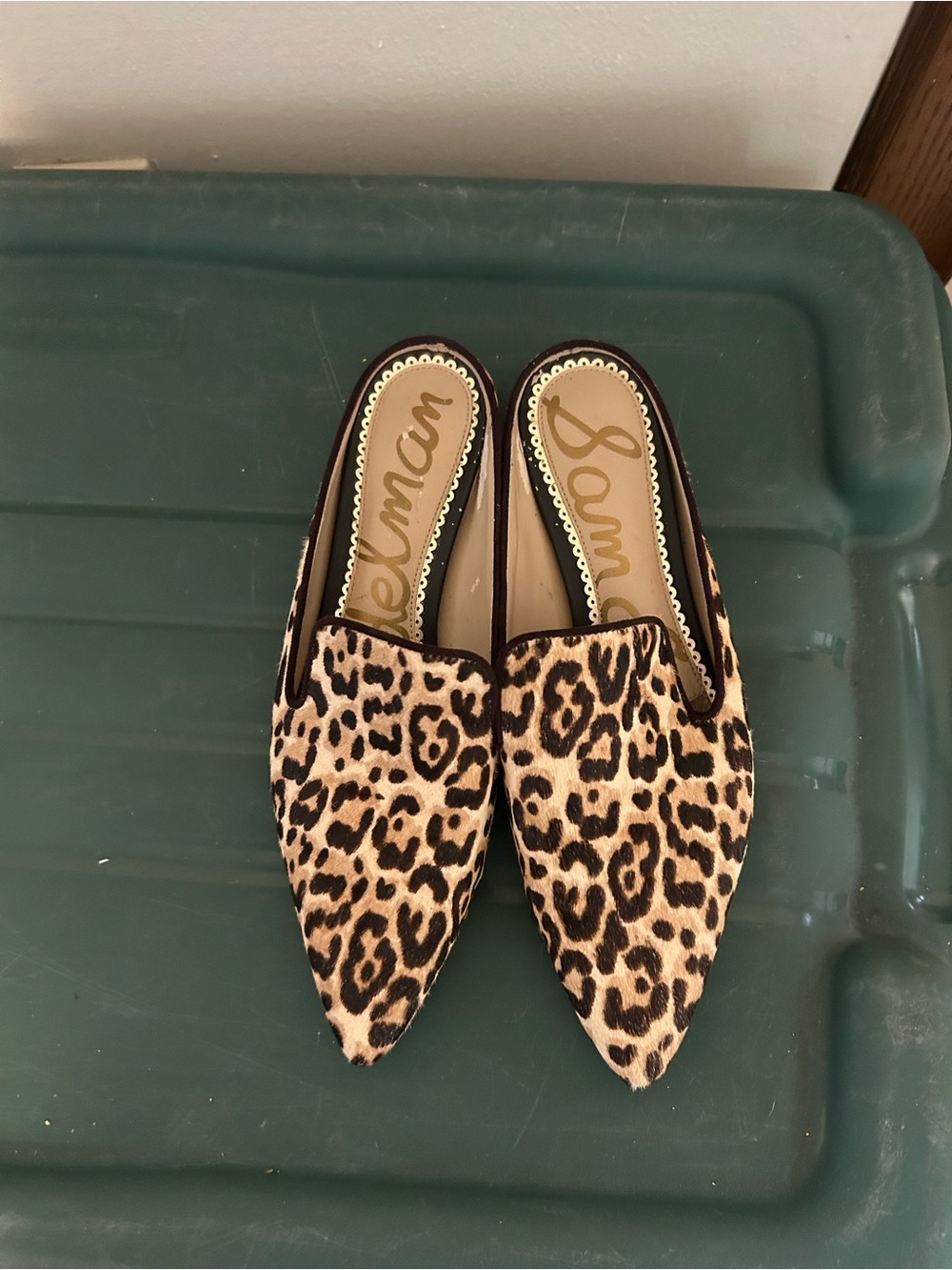 Sam Edelman Leopard-Print Pointed Backless Mules - Tan/Black